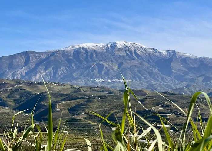 Casa Bambu Boutique Andalusie With Pool And Mountain Views 4*