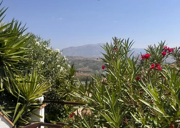 招待所 Casa Bambu Boutique Andalusie With Pool And Mountain Views