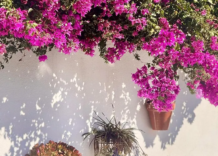 Casa Bambu Boutique Andalusie With Pool And Mountain Views 招待所 贝莱斯